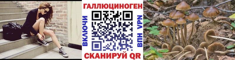 наркошоп  Нижнеудинск  Псилоцибиновые грибы MAGIC MUSHROOMS 